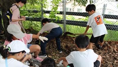 学校の植え込みの土を掘る様子