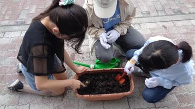 土壌混合法に取り組む様子の写真