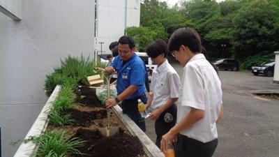 学校の花壇でも取り組む様子の写真