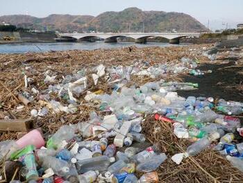 Photograph of plastic waste on the riverbank