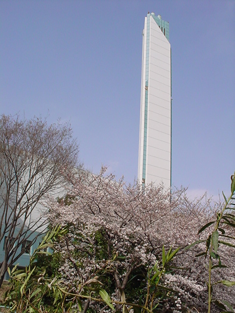 This is the chimney of the Asahi Plant