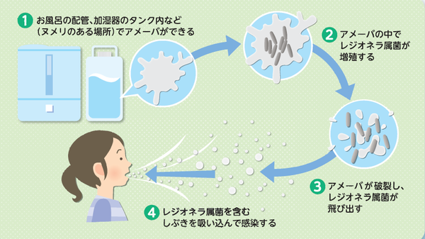 レジオネラ属菌の感染経路図