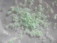 緑白色破片状異物の拡大写真