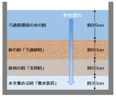 Sección cruzada de la estructura del estanque de la filtración