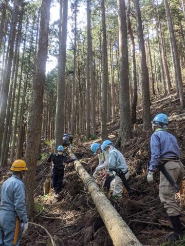 Hoạt động tỉa thưa rừng nguồn nước Doshi của người dân tình nguyện