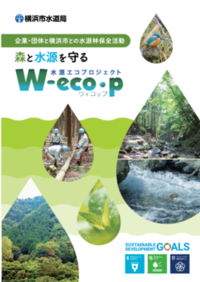 Cover of wickp leaflet