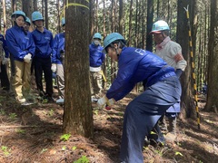 間伐体験の様子