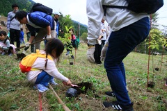 植樹体験の様子