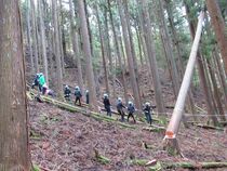間伐体験の様子