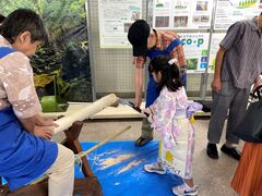 丸太切り体験の様子