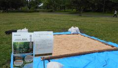 ウッドチッププール