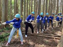 間伐体験の様子
