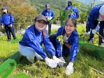 植樹体験の様子