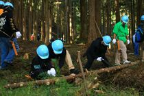 Participants engaged in cutting logs