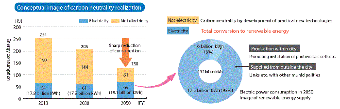 carbon neutral realization