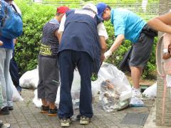 People working hard to clean up a park