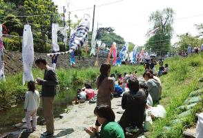 Photo of carp streamers