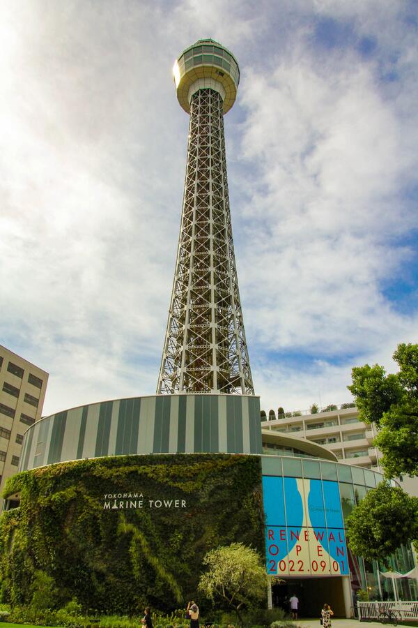 写真：横浜マリンタワー全景（小サイズ）