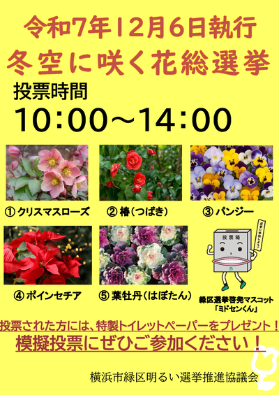 冬空に咲く花総選挙のポスター