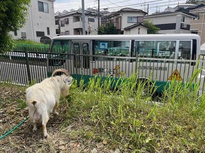 幼稚園バスも寄ってくれました。
