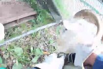 絡まるロープを解く