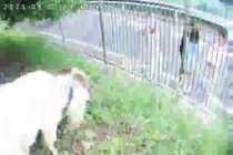 心配で近所の人も駆け付けました