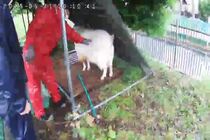 職員が雨の日も見守ります