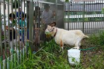 やっぱりクズが好き