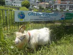 アンケート調査実施しました。