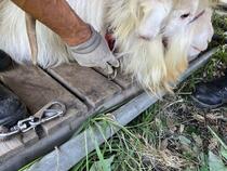 すのこの間に名札が挟まり抜けなくなりました