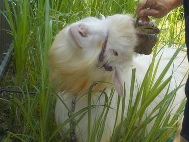 角と角の間がいい気持ち