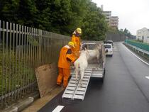 帰っていく「げん」くん「かい」くん。