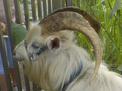 「かい」くん画像２