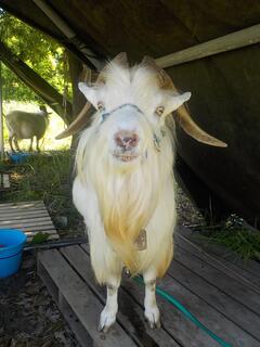 「かい」くん画像３