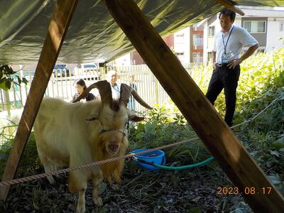 緑区長と対面かいくん