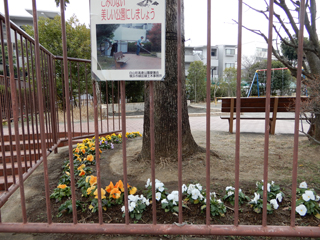 白山町高倉公園の花壇