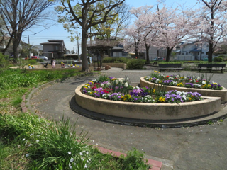 東本郷第一公園の広場と花壇