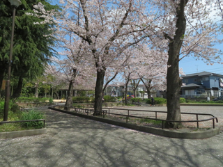 東本郷第一公園の広場