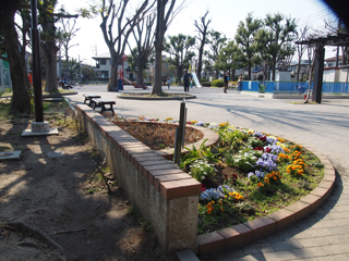 東本郷第三公園の広場と花壇