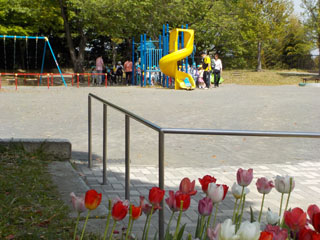 東本郷台公園の花壇と広場
