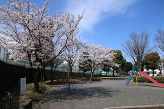 上山町南第二公園の滑り台と桜並木