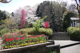 上山町公園の花壇