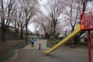 北八朔第一公園の滑り台と桜並木