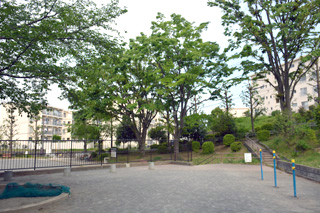 南長津田公園の広場