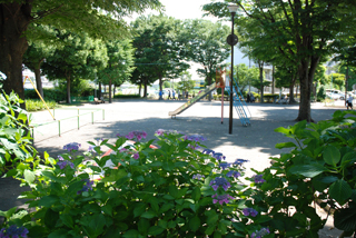 長津田柳下公園の広場とすべり台