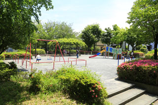 中丸公園の広場と遊具