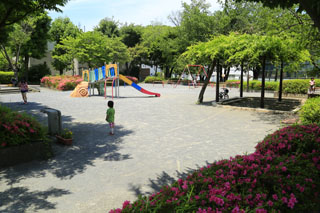 中丸公園の広場と遊具2