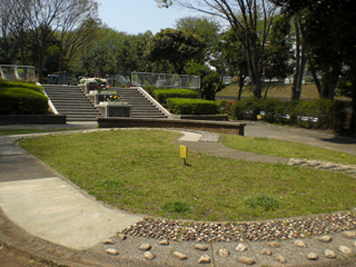 竹山中公園の広場