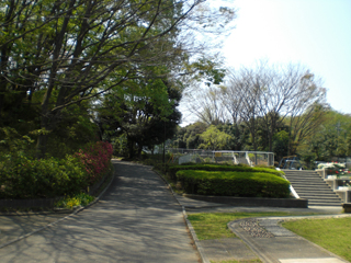 竹山中公園の小道