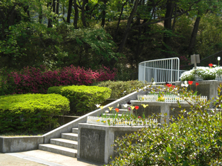 竹山中公園の階段と花壇